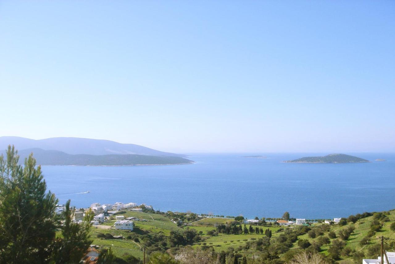 Marmari View Villa ภายนอก รูปภาพ